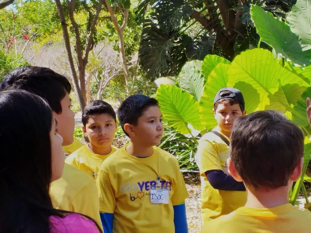 Curso de YebTeb Me Cae